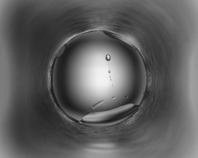 X0000088891151200706081243
