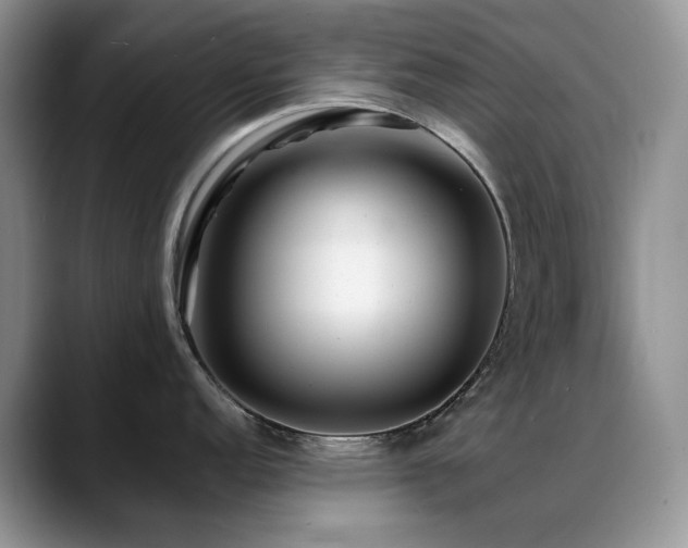 X0000088891152200706081243
