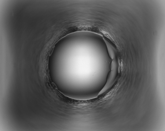 X0000088891153200706081243