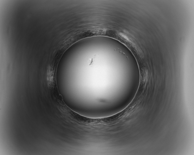 X0000088891154200706081243