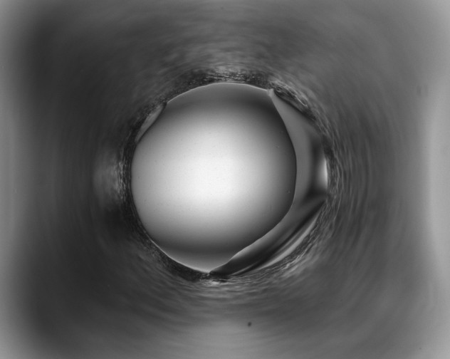X0000088891156200706081243