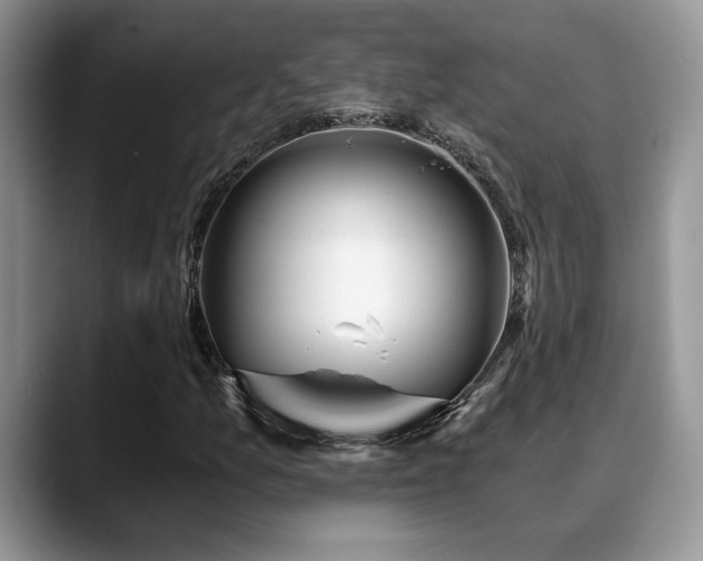 X0000088891157200706081243