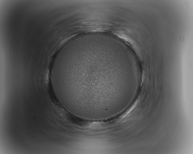 X0000088891161200706081243