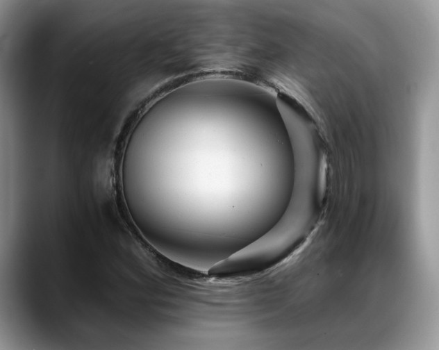X0000088891164200706081243