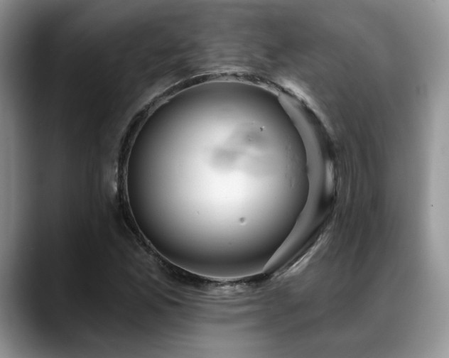 X0000088891165200706081243