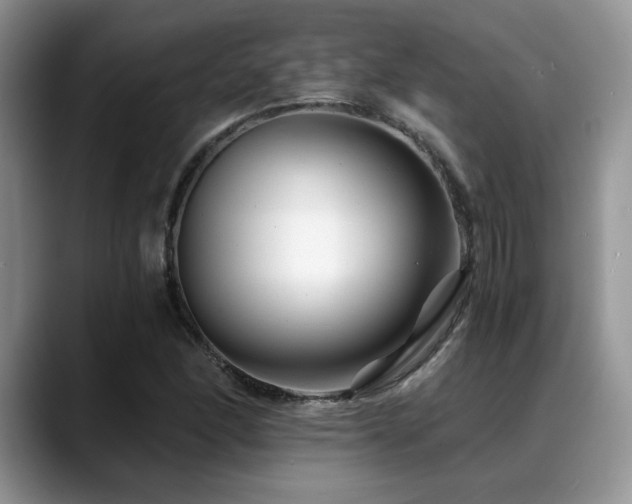 X0000088891166200706081243