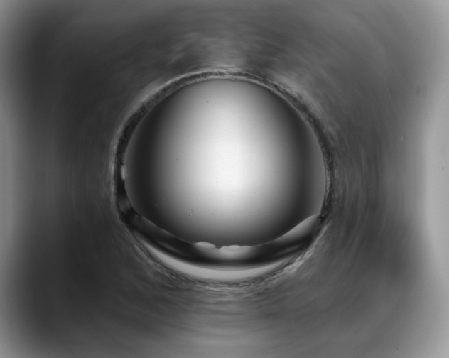 X0000088891168200706081243