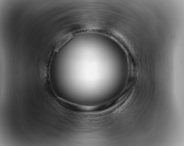 X0000088891169200706081242