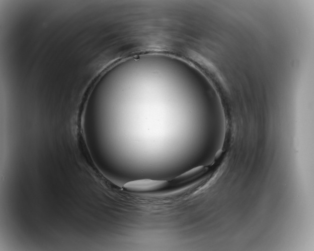 X0000088891170200706081242