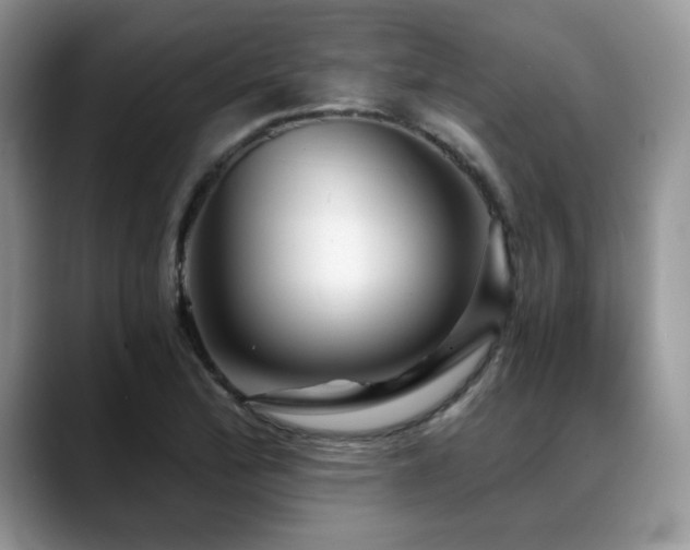 X0000088891172200706081242