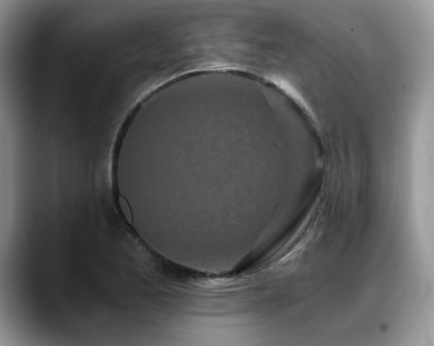 X0000088891173200706081242