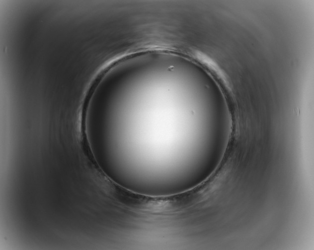 X0000088891174200706081242