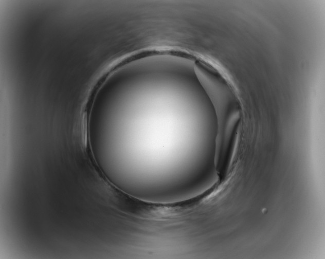 X0000088891175200706081242