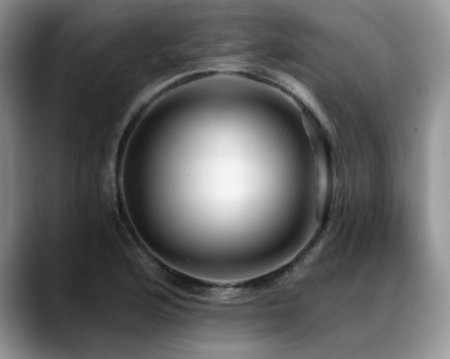 X0000088891176200706081242