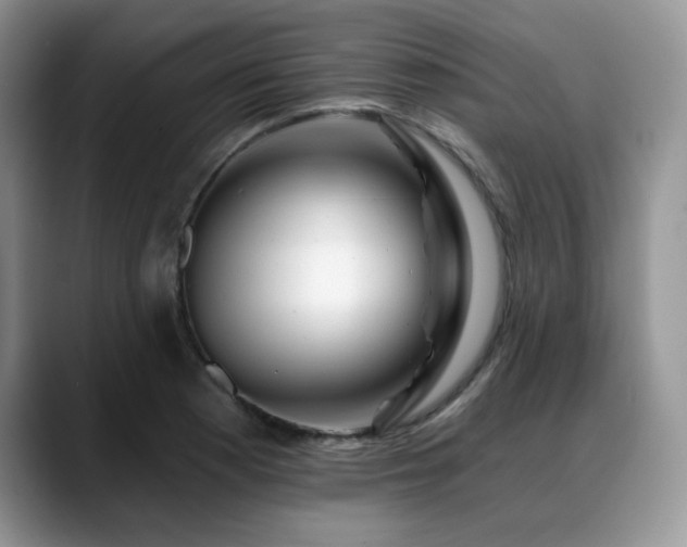 X0000088891177200706081242