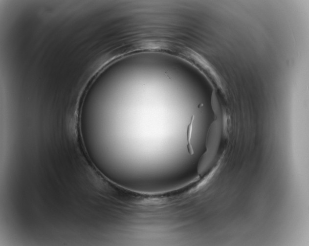 X0000088891178200706081242