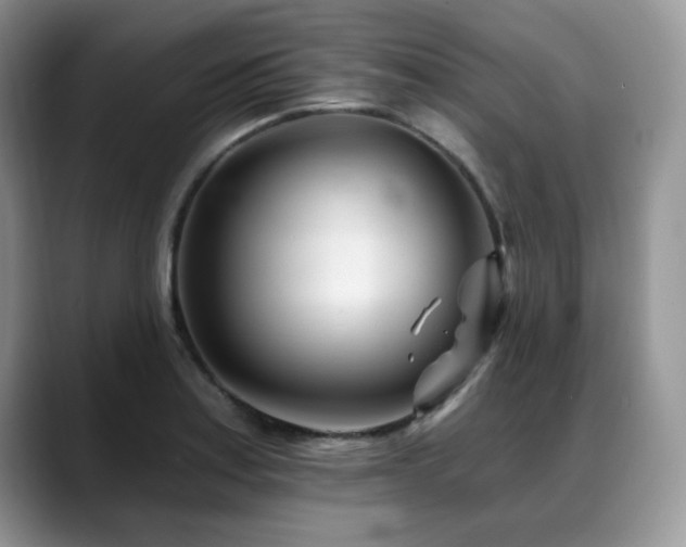 X0000088891179200706081242