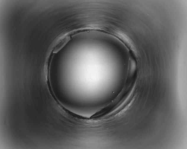 X0000088891180200706081242