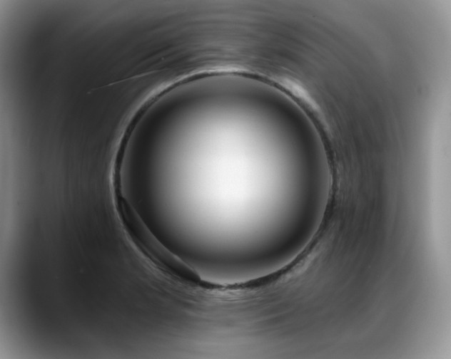 X0000088891181200706081242