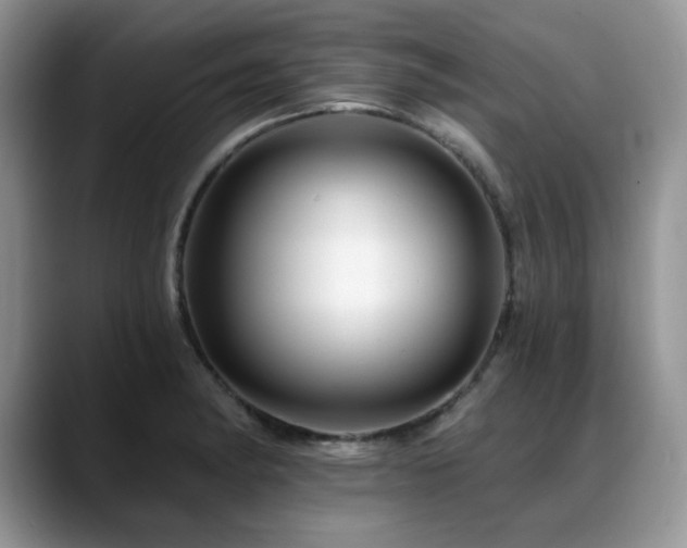 X0000088891182200706081242