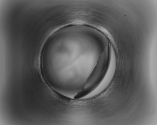 X0000088891183200706081242