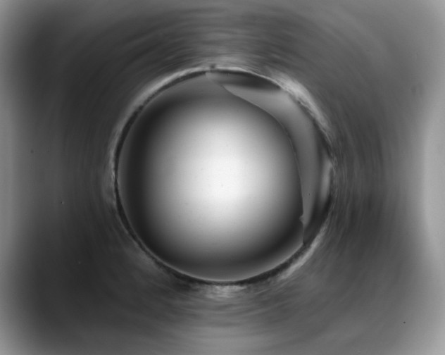 X0000088891184200706081242