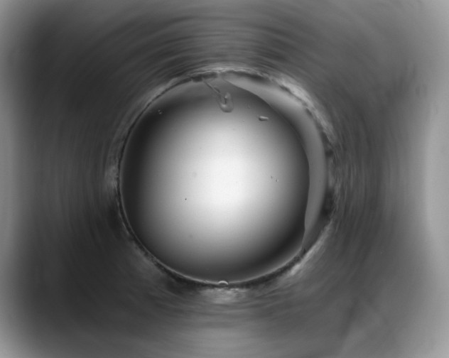 X0000088891185200706081242