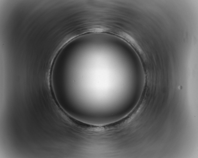 X0000088891186200706081242