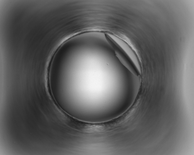 X0000088891187200706081242