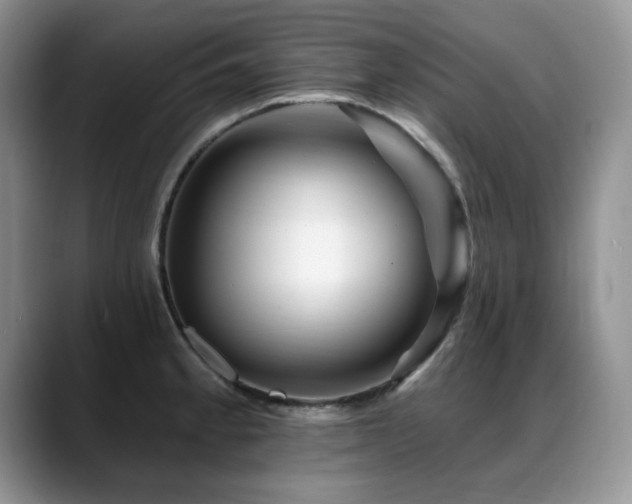 X0000088891189200706081242