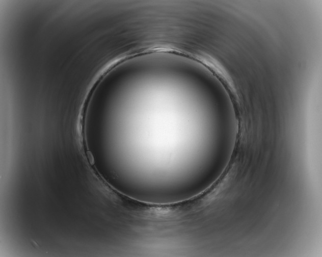 X0000088891190200706081242