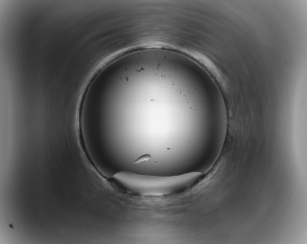 X0000088891191200706081242