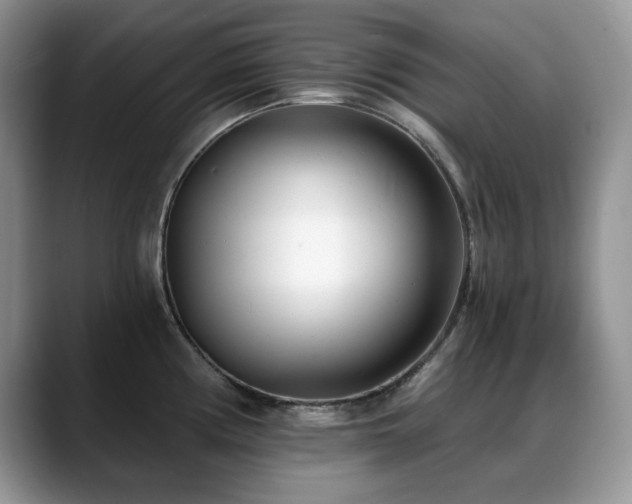 X0000088891194200706081242