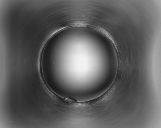 X0000088891195200706081242
