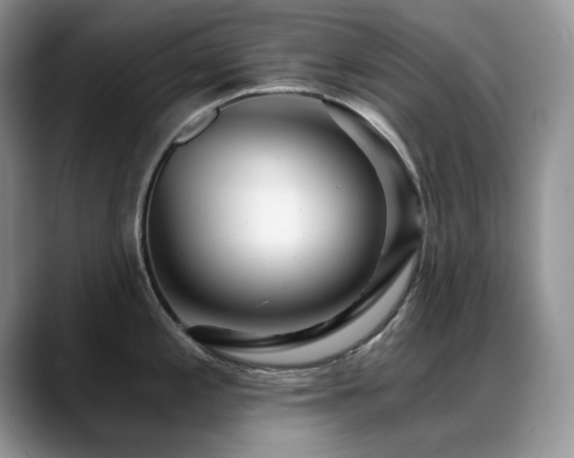 X0000088891197200706081242