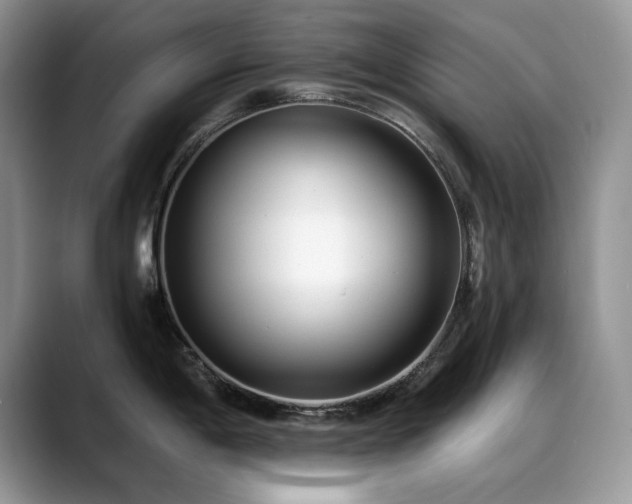 X0000088891198200706081242