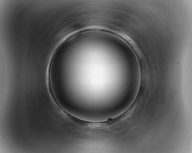 X0000088891199200706081242