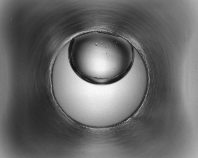 X0000088891200200706081242