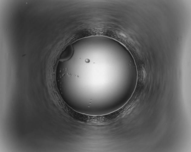 X0000088891201200706081242