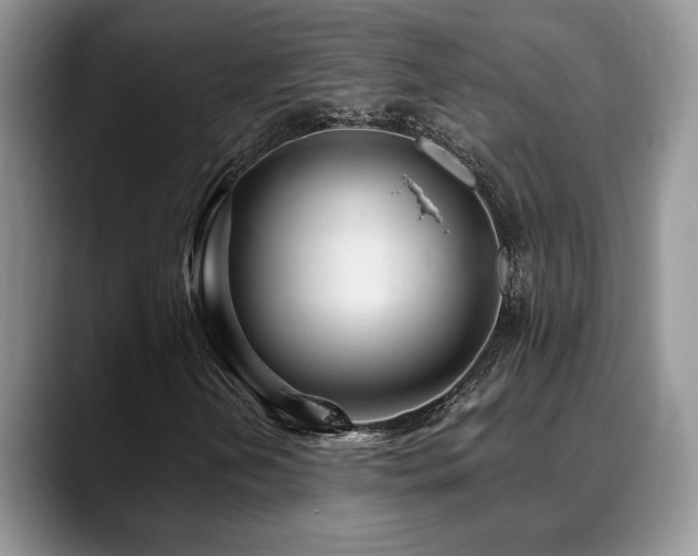 X0000088891202200706081242