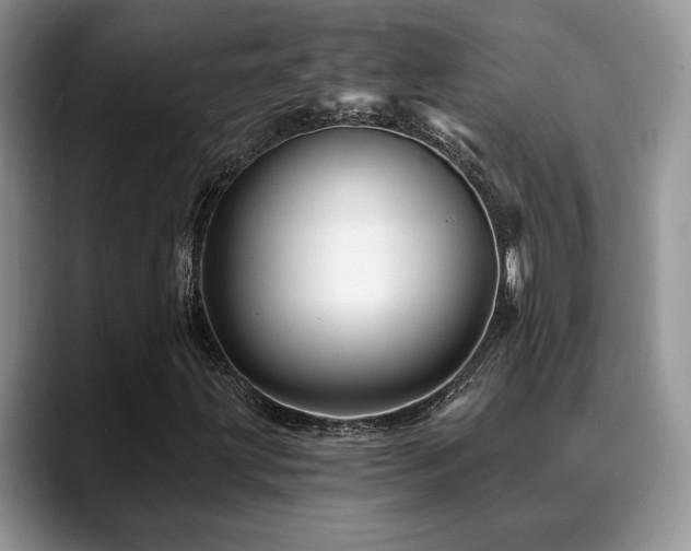 X0000088891203200706081242