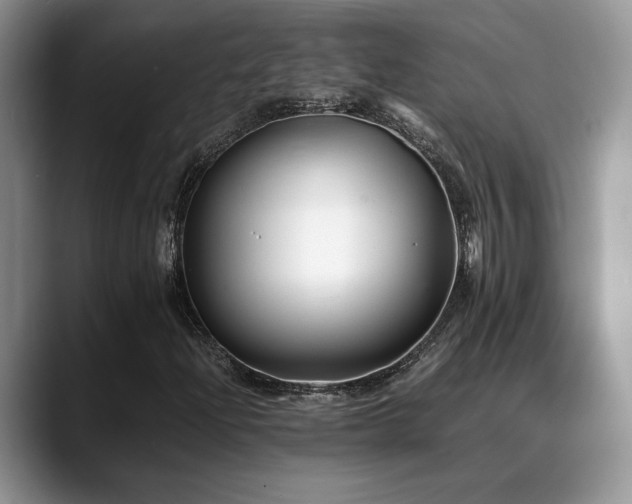 X0000088891204200706081242