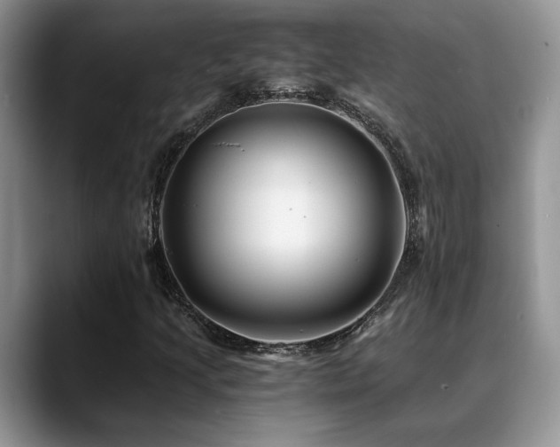 X0000088891205200706081242