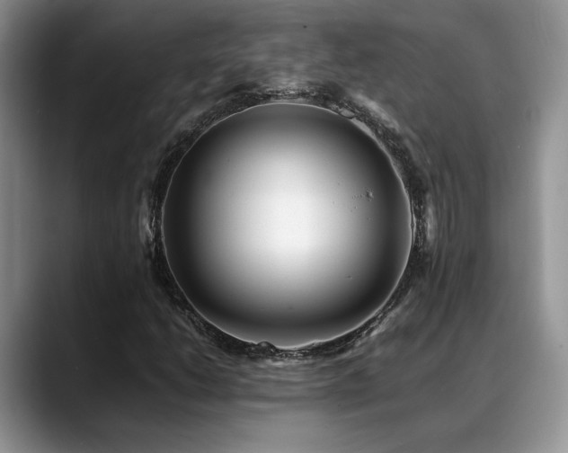 X0000088891206200706081242
