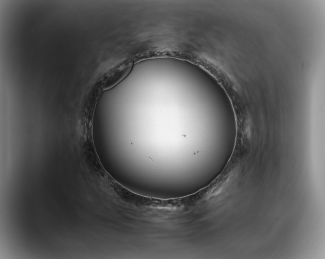 X0000088891207200706081242