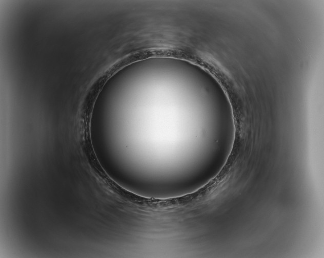 X0000088891208200706081242