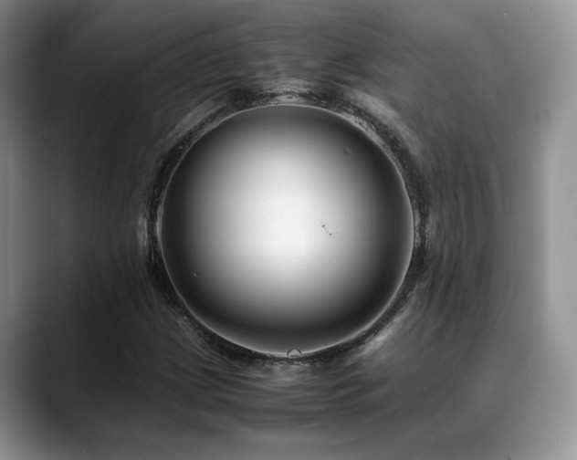 X0000088891209200706081242