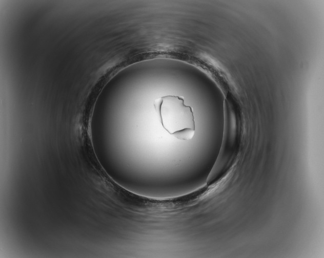 X0000088891210200706081242