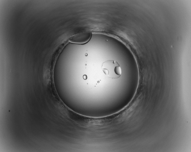 X0000088891211200706081242