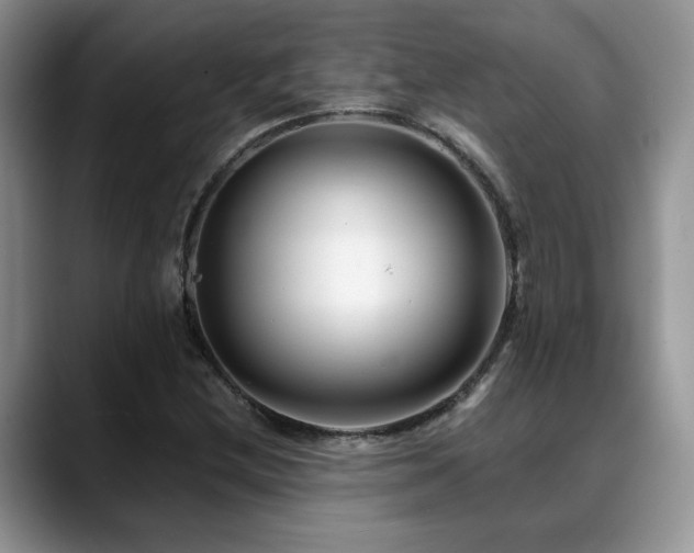 X0000088891212200706081242